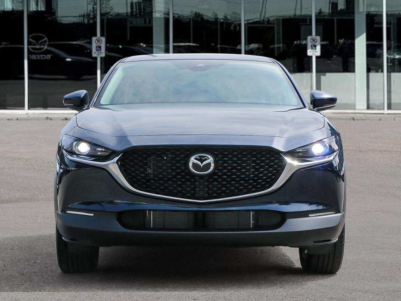 2025 Mazda CX-30 GS 4dr i-ACTIV All-Wheel Drive Sport Utility Photo