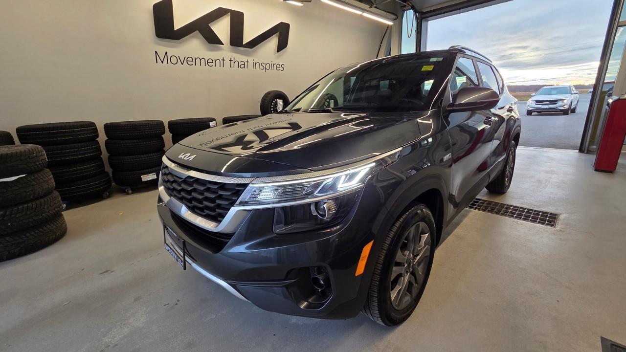 2023 Kia Seltos LX 4dr All-Wheel Drive Photo0