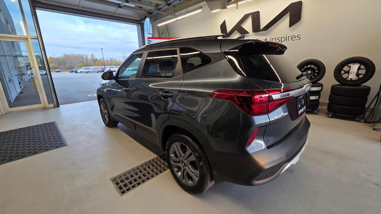 2023 Kia Seltos LX 4dr All-Wheel Drive Photo