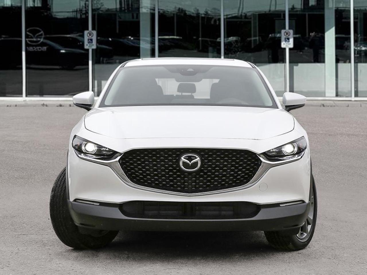 2025 Mazda CX-30 GS 4dr i-ACTIV All-Wheel Drive Sport Utility Photo