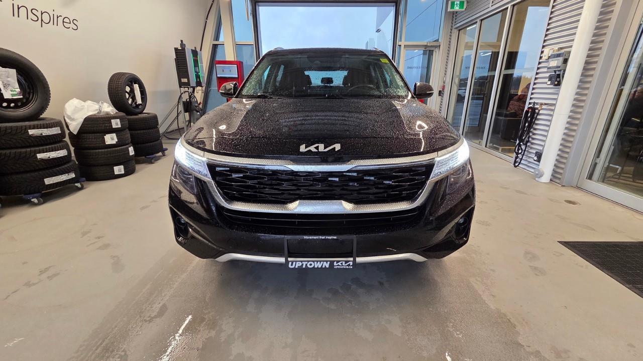 2023 Kia Seltos EX 4dr All-Wheel Drive Photo