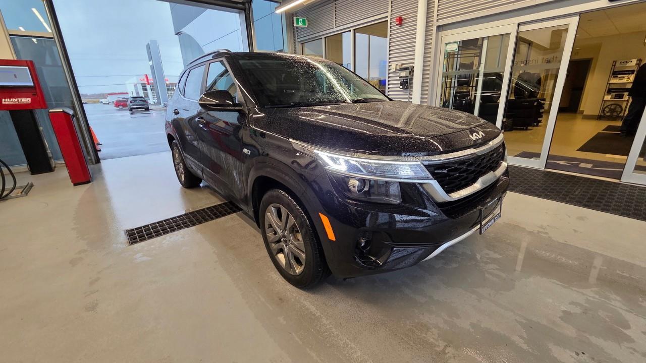 2023 Kia Seltos EX 4dr All-Wheel Drive Photo