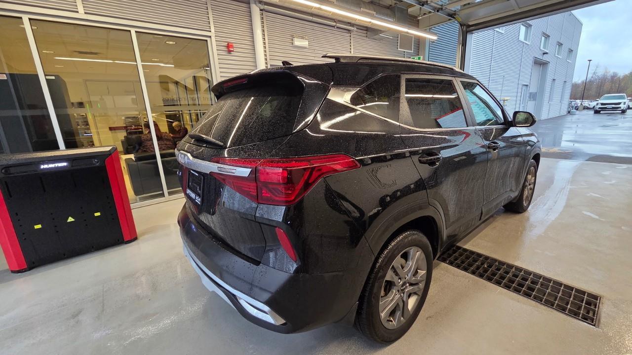 2023 Kia Seltos EX 4dr All-Wheel Drive Photo