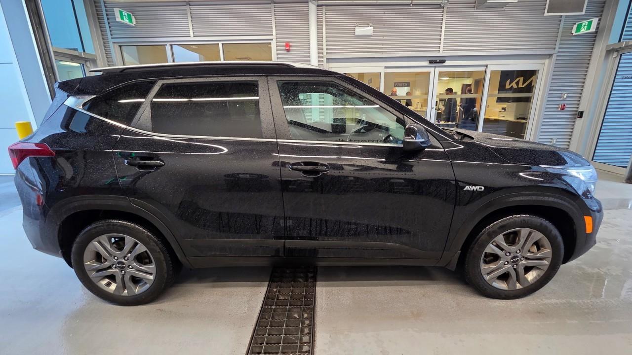 2023 Kia Seltos EX 4dr All-Wheel Drive Photo