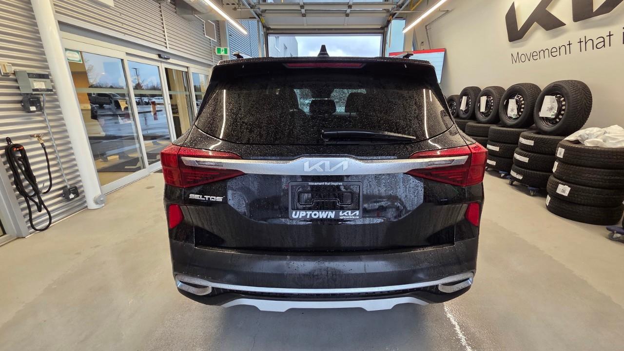 2023 Kia Seltos EX 4dr All-Wheel Drive Photo