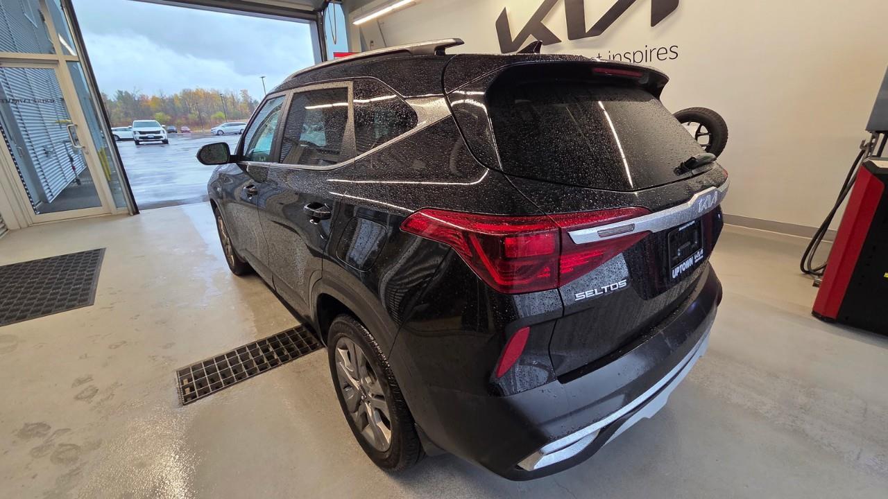 2023 Kia Seltos EX 4dr All-Wheel Drive Photo