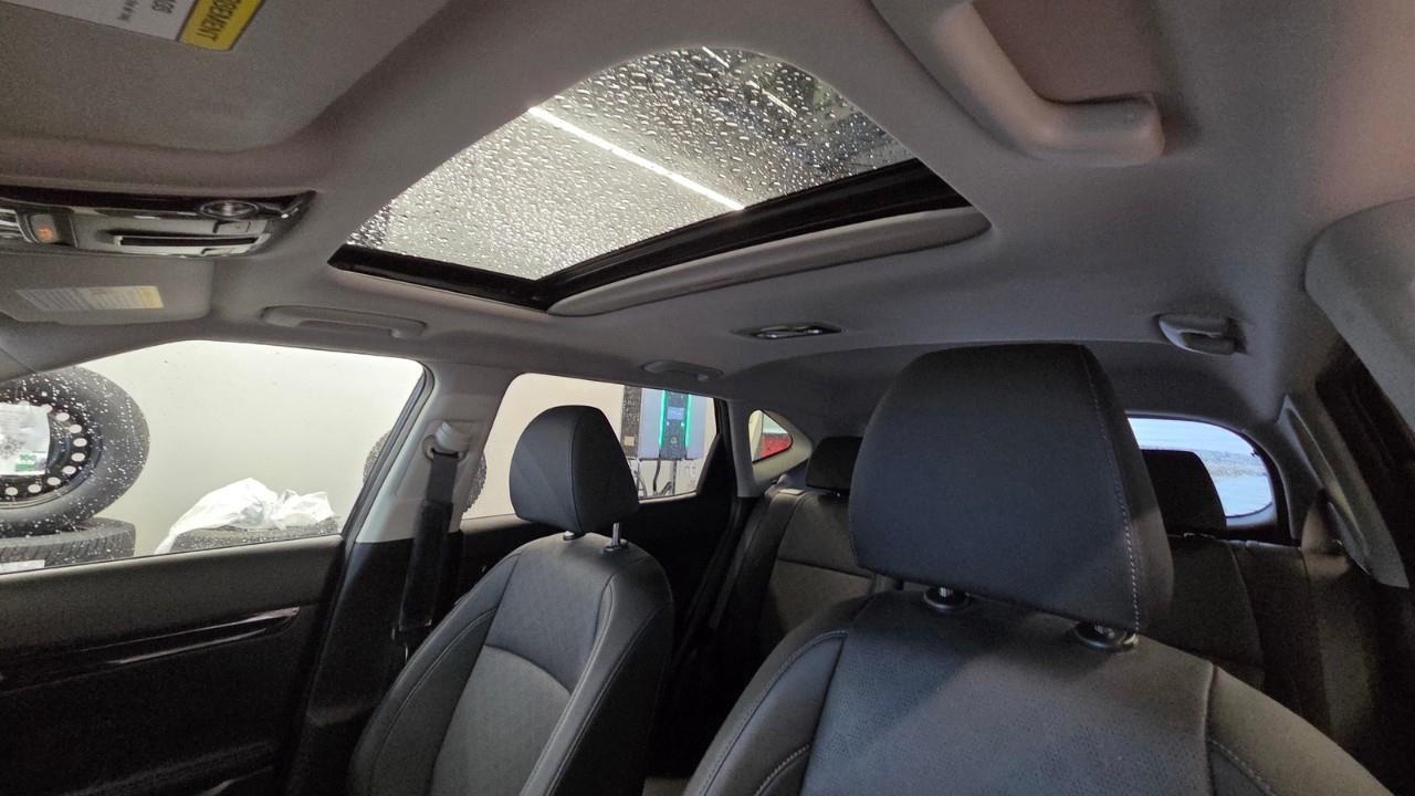 2023 Kia Seltos EX 4dr All-Wheel Drive Photo