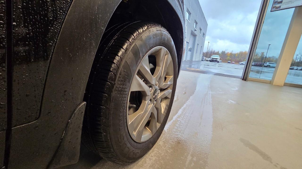 2023 Kia Seltos EX 4dr All-Wheel Drive Photo