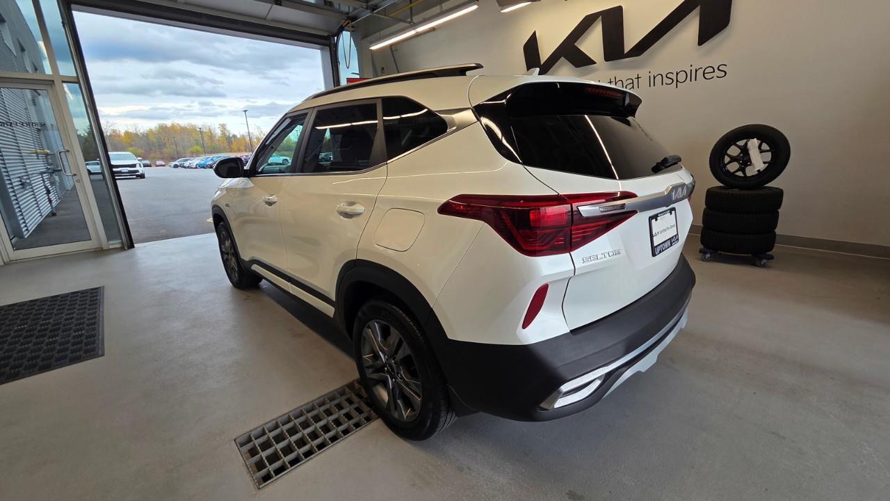 2023 Kia Seltos EX 4dr All-Wheel Drive Photo