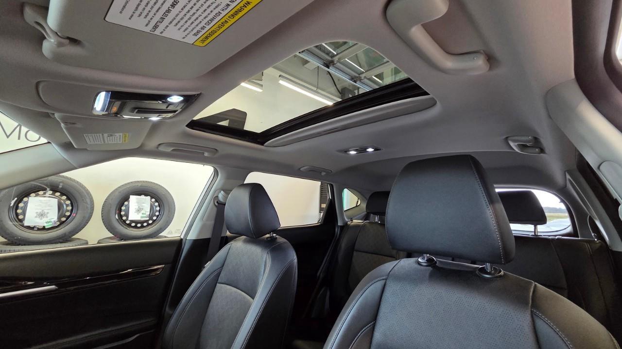 2023 Kia Seltos EX 4dr All-Wheel Drive Photo