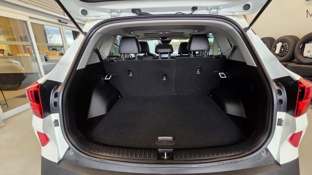 2023 Kia Seltos EX 4dr All-Wheel Drive Photo