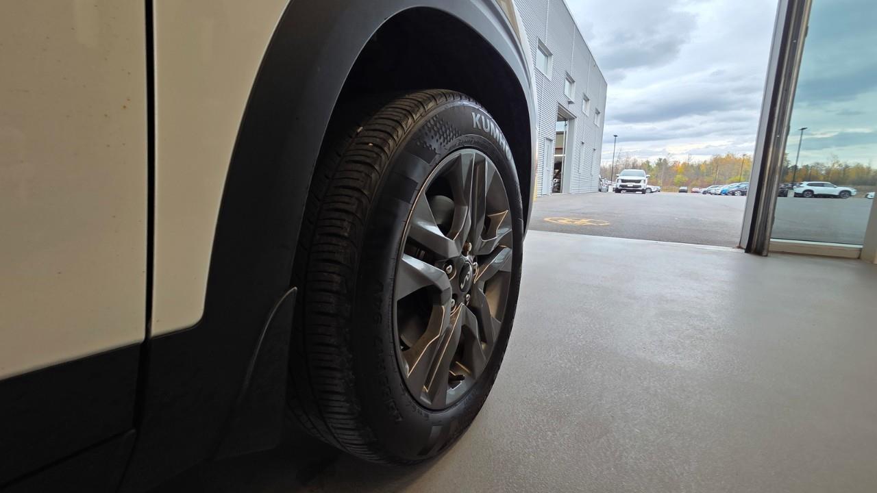 2023 Kia Seltos EX 4dr All-Wheel Drive Photo