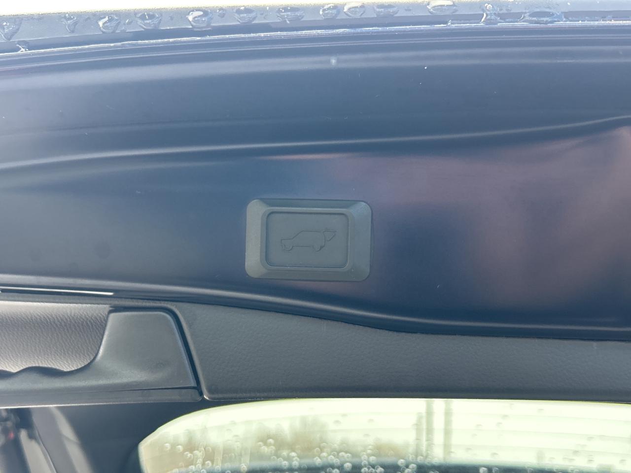 2024 Toyota RAV4 Hybrid XLE   Sunroof   Clean Carfax Photo