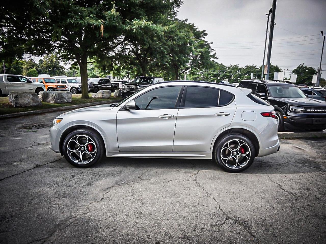 2021 Alfa Romeo Stelvio  Photo