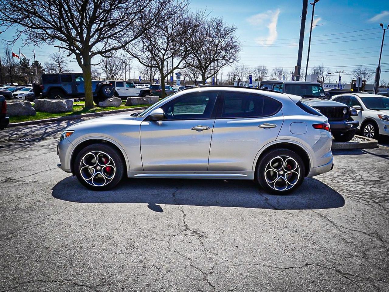 2021 Alfa Romeo Stelvio  Photo