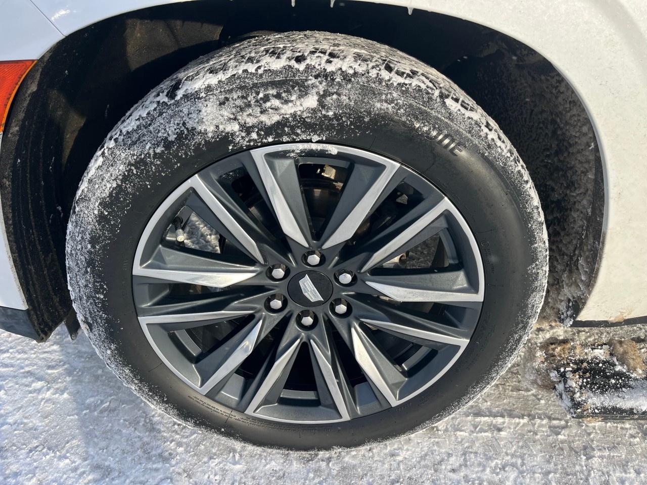 2024 Cadillac Escalade 4WD Sport Platinum Photo2