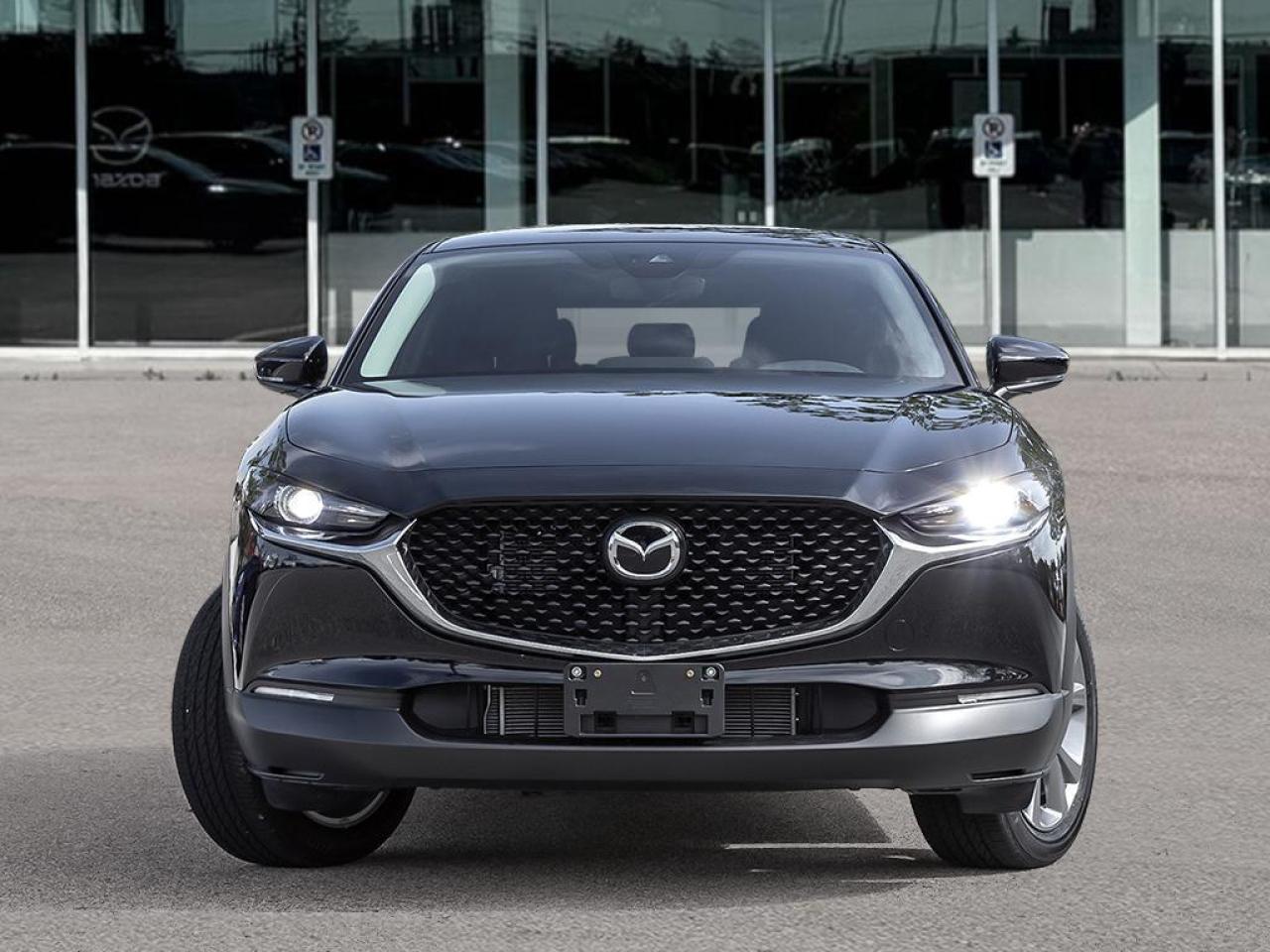 2025 Mazda CX-30 GS 4dr i-ACTIV All-Wheel Drive Sport Utility Photo