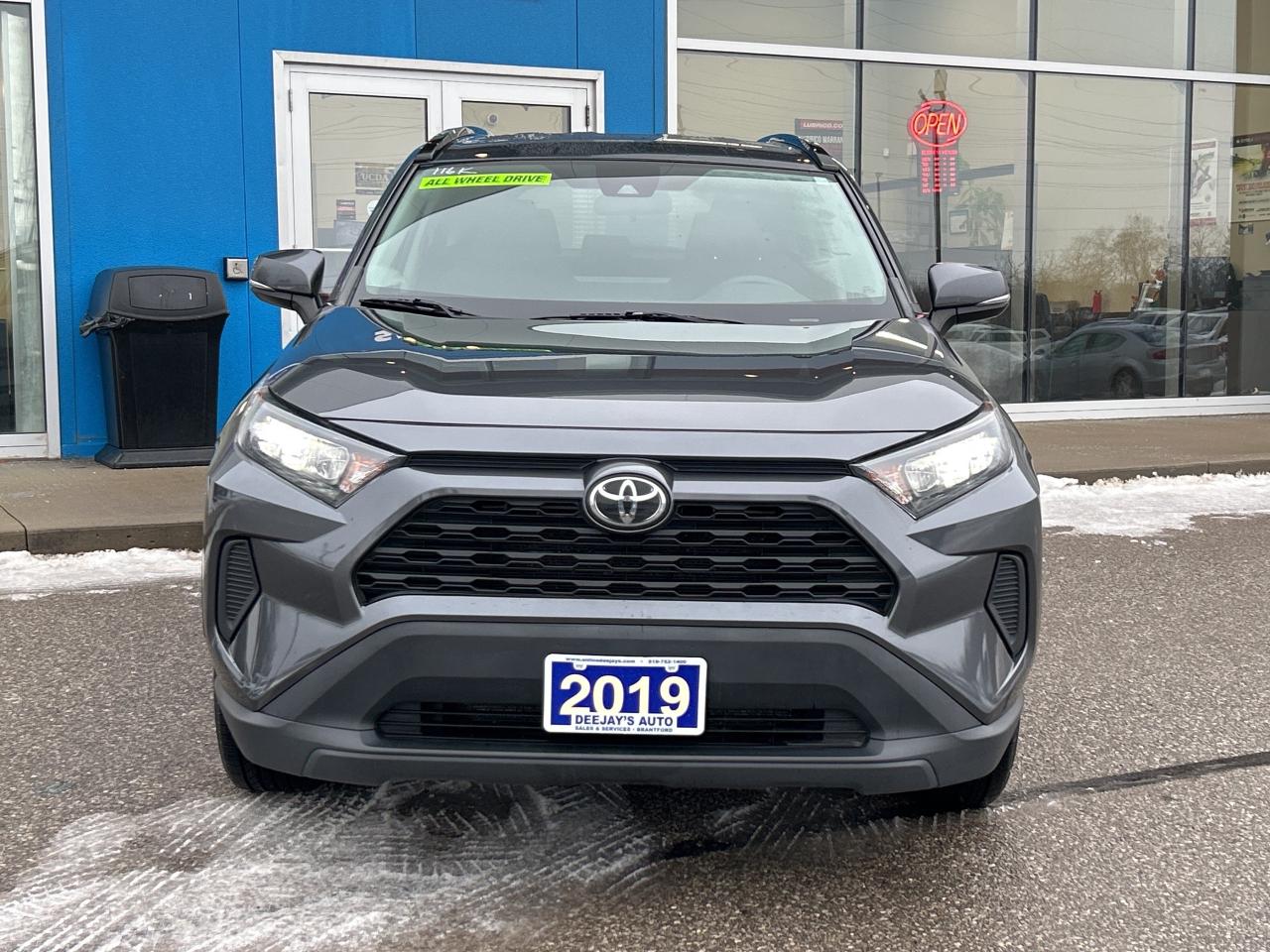 2019 Toyota RAV4 LE Photo