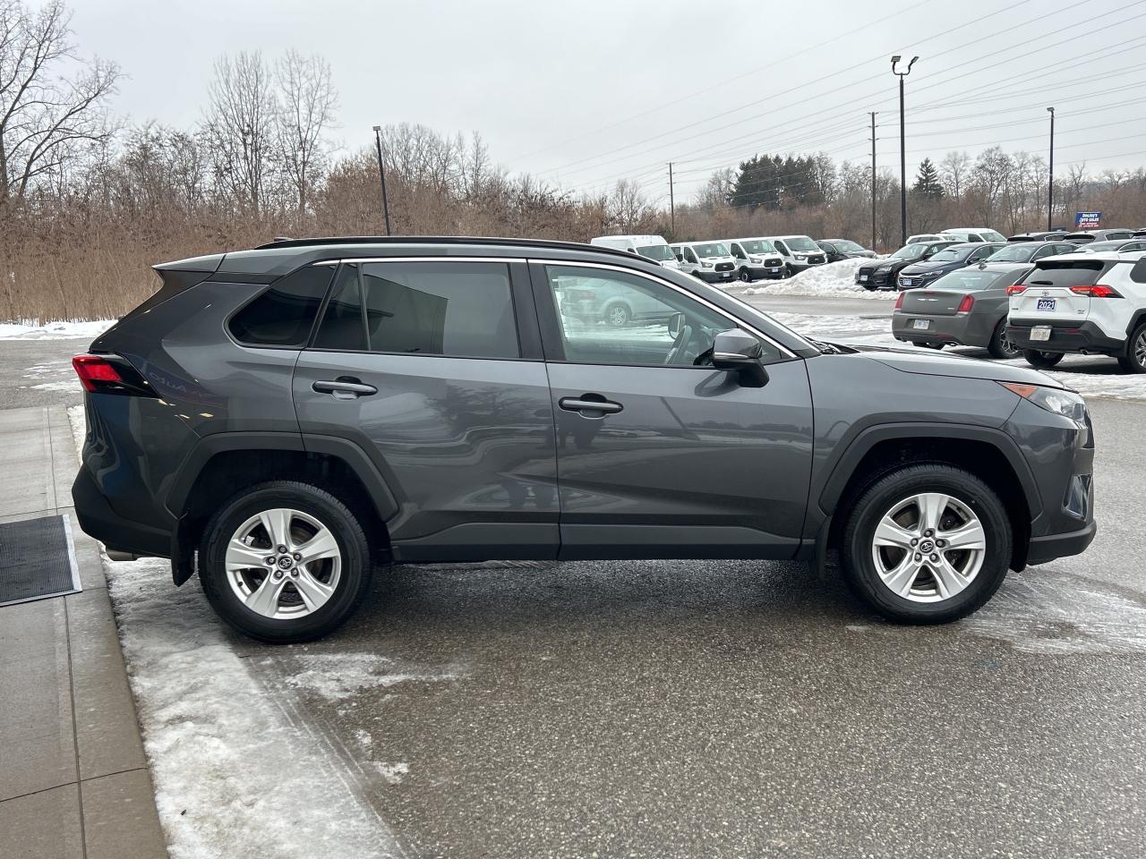 2019 Toyota RAV4 LE Photo