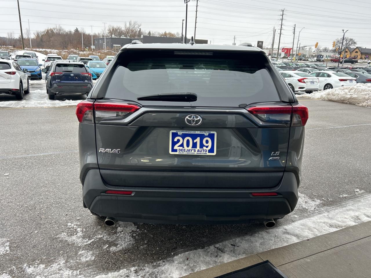 2019 Toyota RAV4 LE Photo