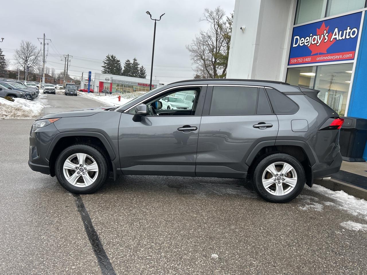 2019 Toyota RAV4 LE Photo