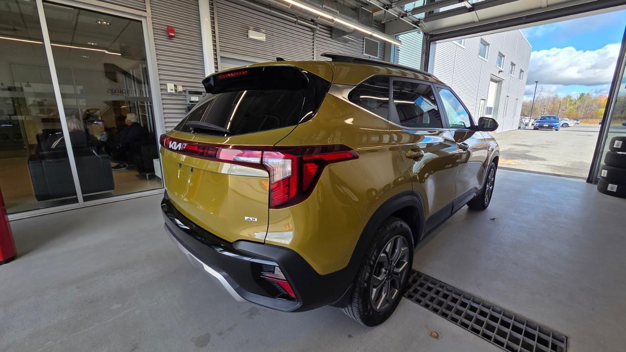 2024 Kia Seltos EX 4dr All-Wheel Drive Photo