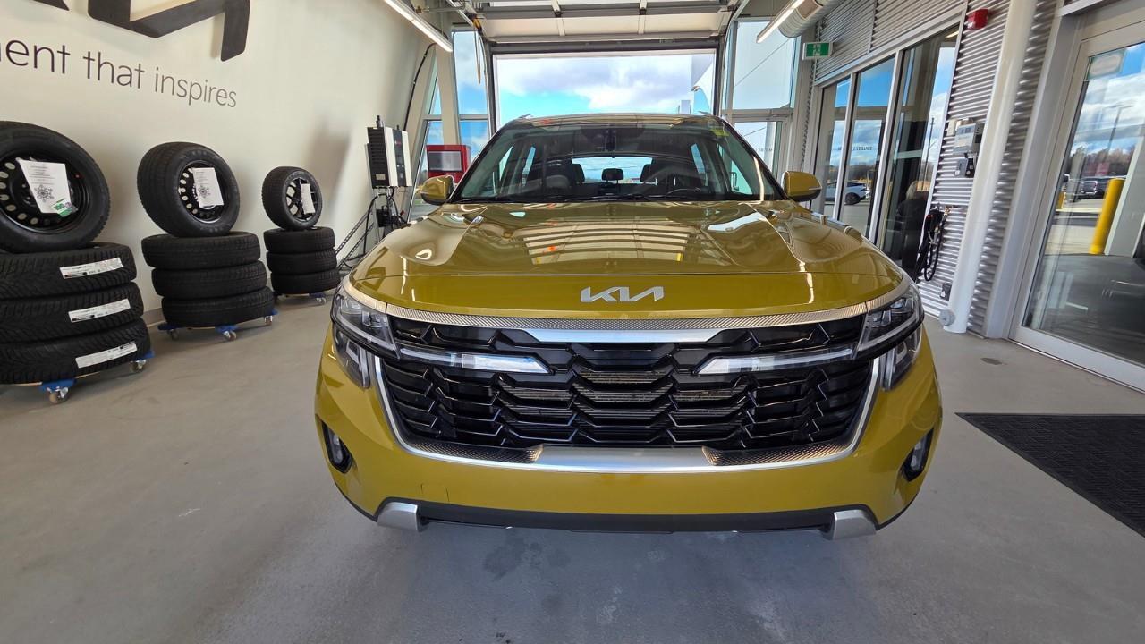 2024 Kia Seltos EX 4dr All-Wheel Drive Photo