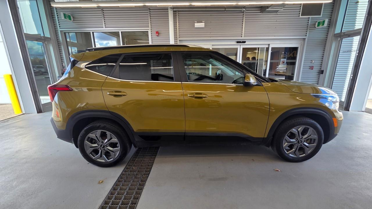 2024 Kia Seltos EX 4dr All-Wheel Drive Photo