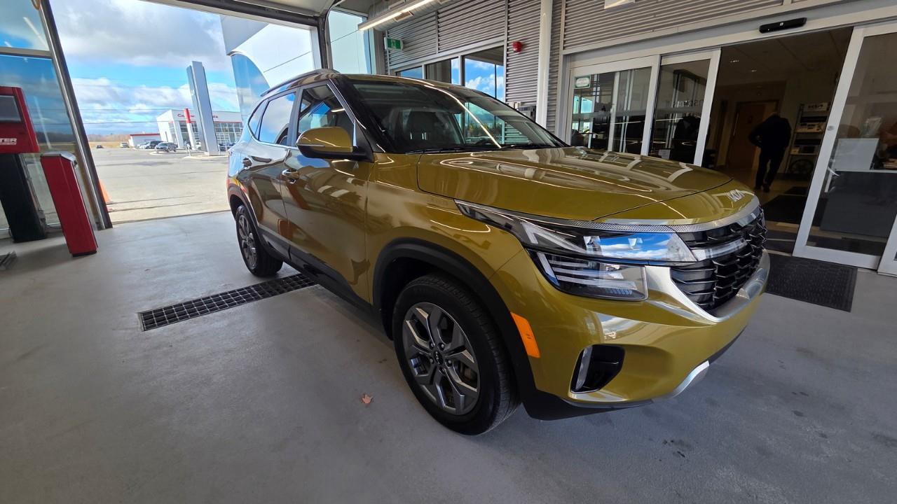 2024 Kia Seltos EX 4dr All-Wheel Drive Photo