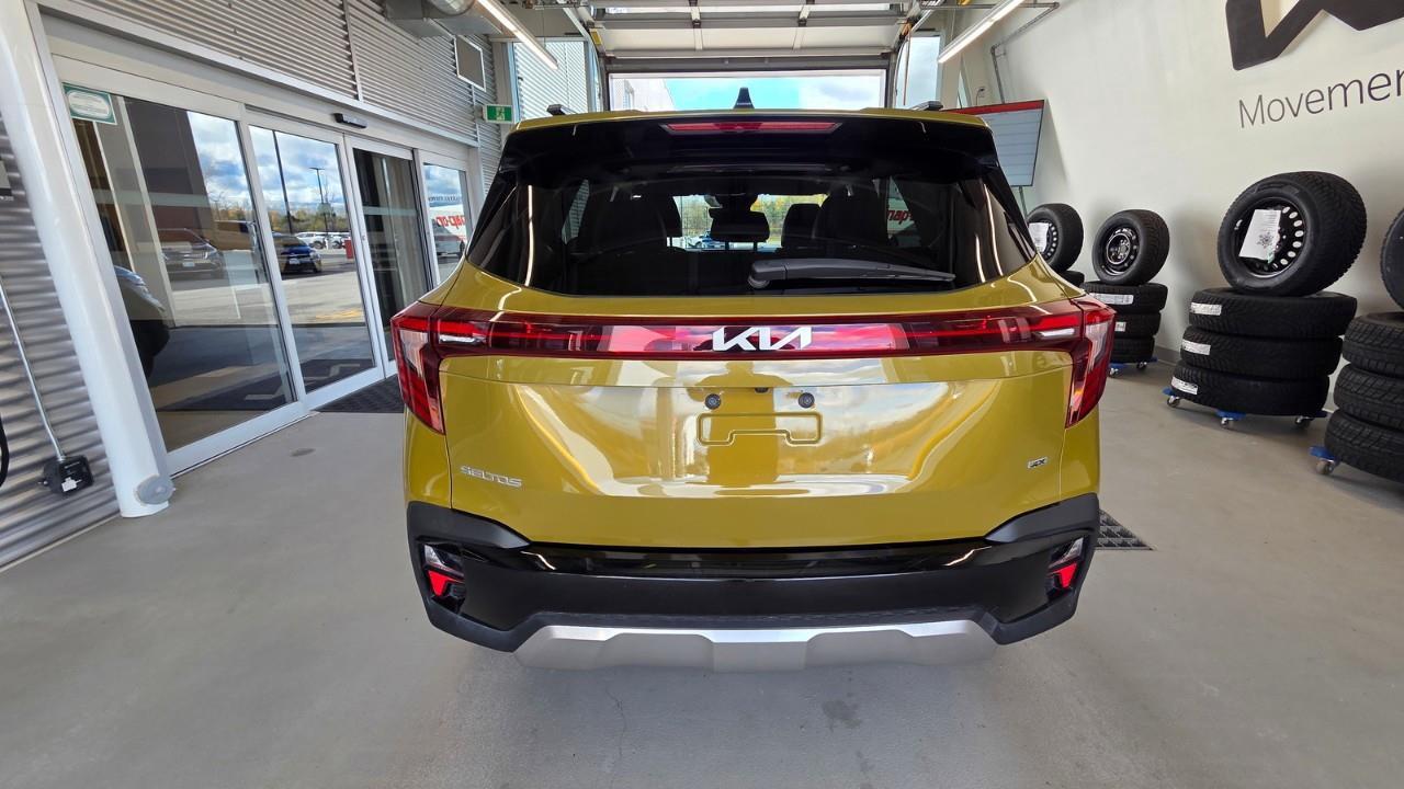 2024 Kia Seltos EX 4dr All-Wheel Drive Photo