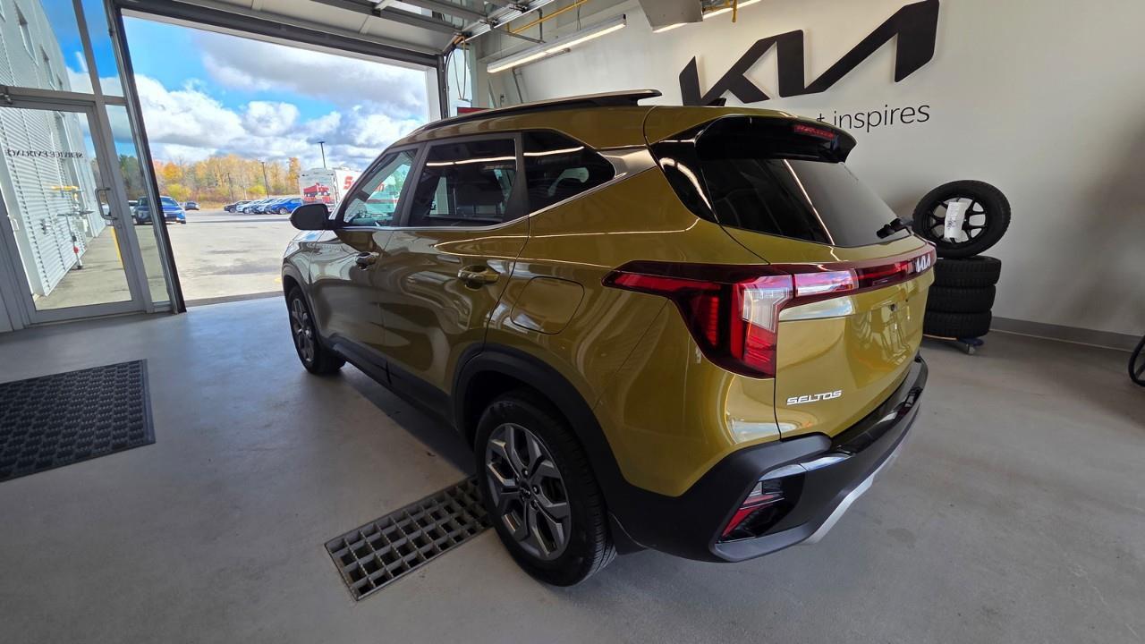 2024 Kia Seltos EX 4dr All-Wheel Drive Photo