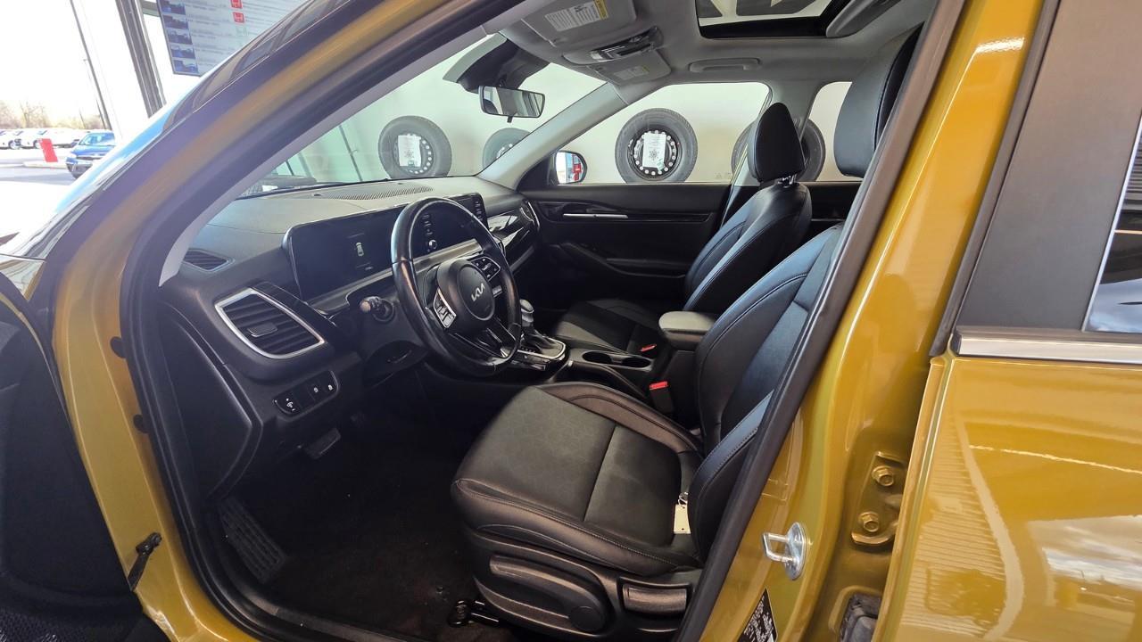 2024 Kia Seltos EX 4dr All-Wheel Drive Photo