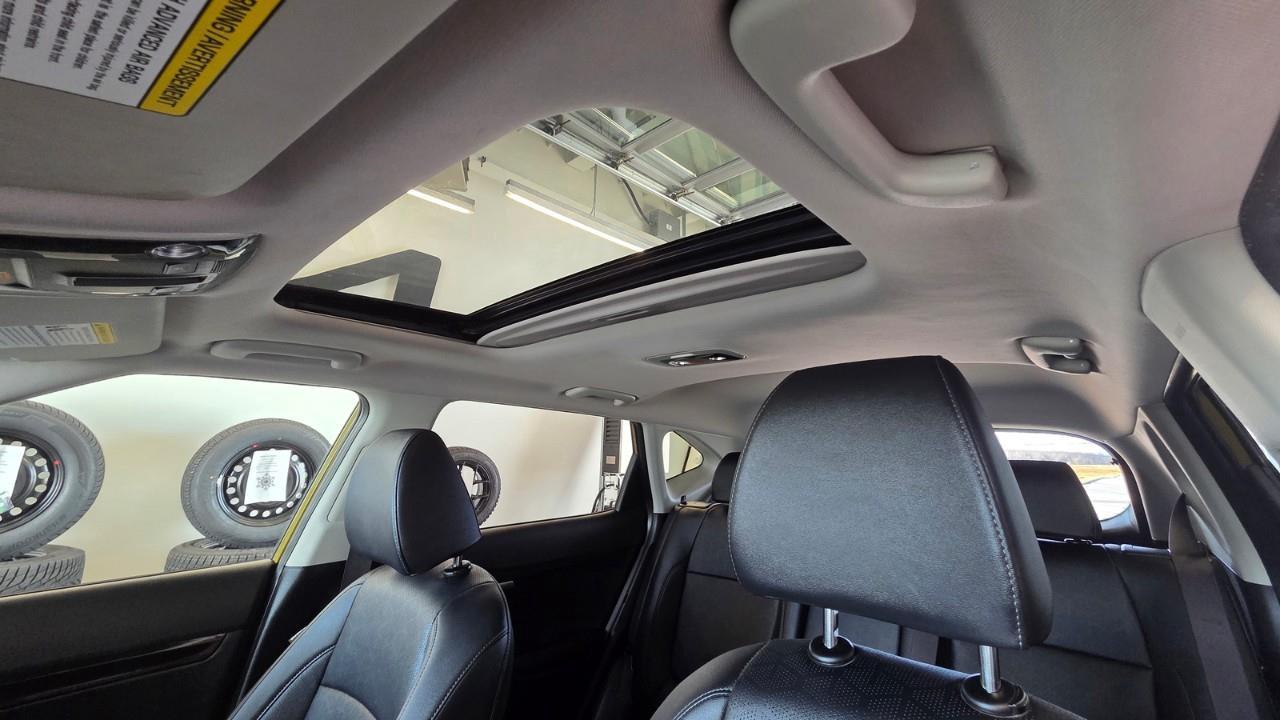 2024 Kia Seltos EX 4dr All-Wheel Drive Photo