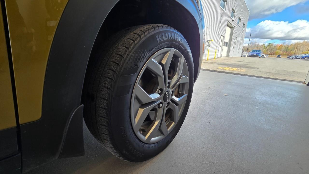 2024 Kia Seltos EX 4dr All-Wheel Drive Photo