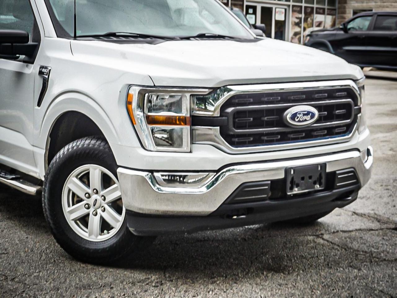 2022 Ford F-150  Photo