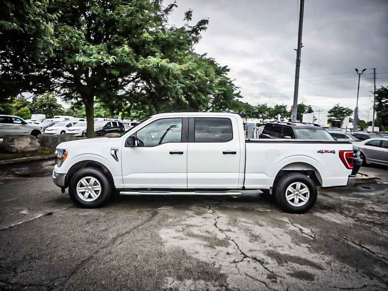 2022 Ford F-150  Photo