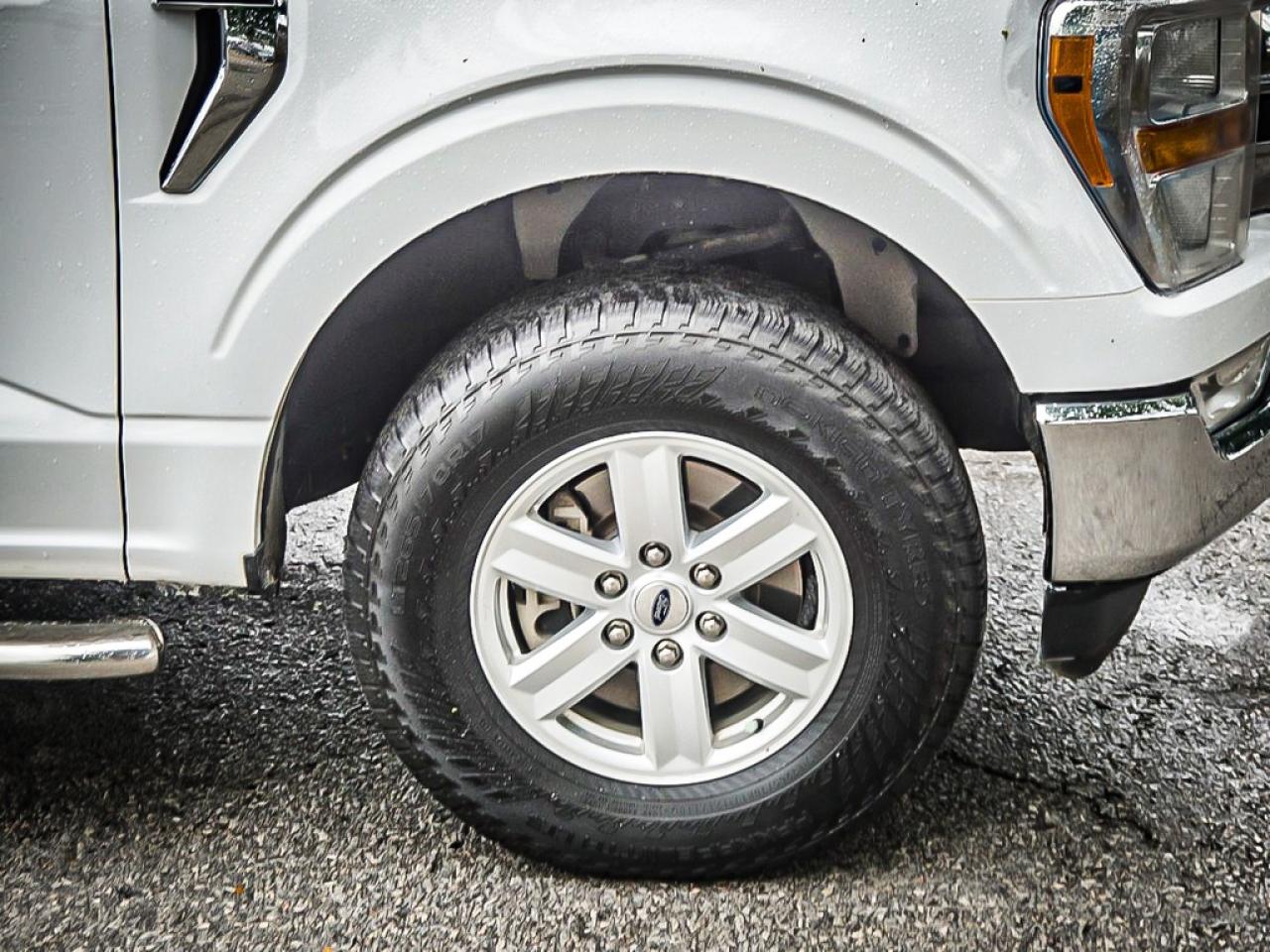 2022 Ford F-150  Photo