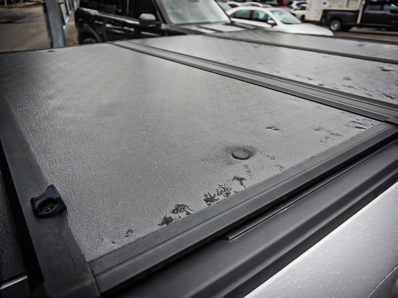 2022 Ford F-150  Photo