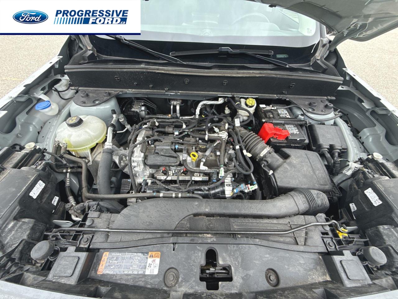 2024 Ford Bronco Sport Big Bend 4dr 4x4 Photo