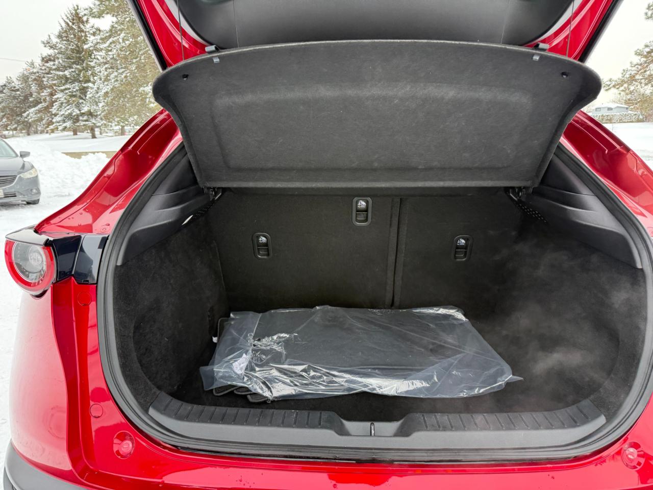 2024 Mazda CX-30 GS 4dr i-ACTIV All-Wheel Drive Sport Utility Photo