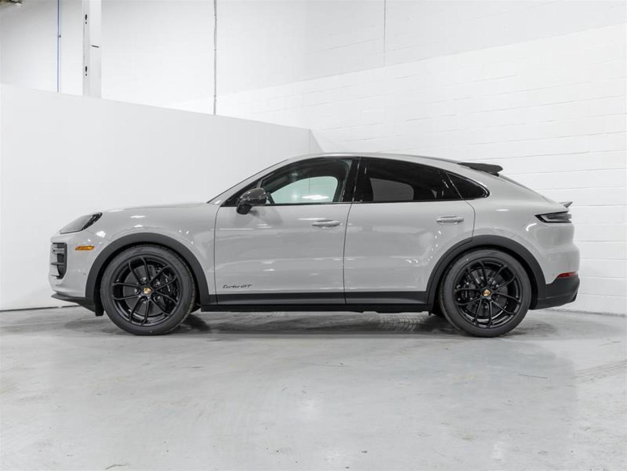 2025 Porsche Cayenne  Photo