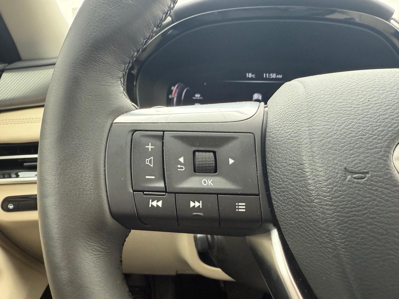 2025 Infiniti QX60 LUXE 4dr All-Wheel Drive Photo