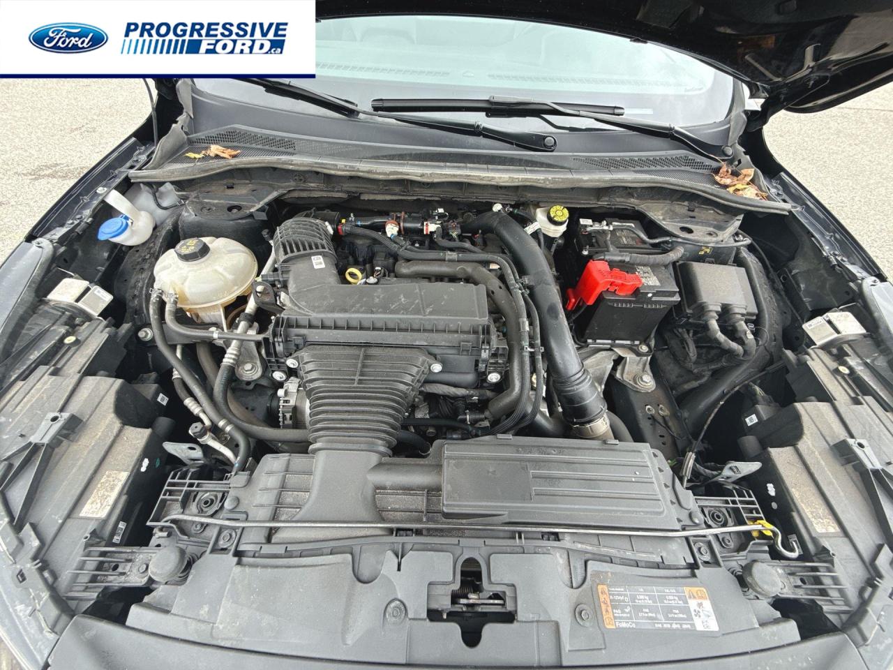 2023 Ford Escape Platinum 4dr All-Wheel Drive Photo