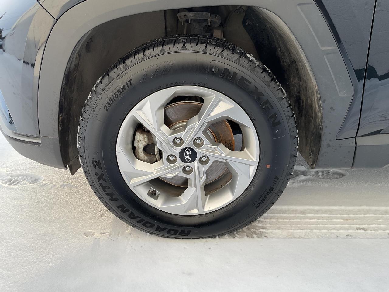 2024 Hyundai Tucson  Photo