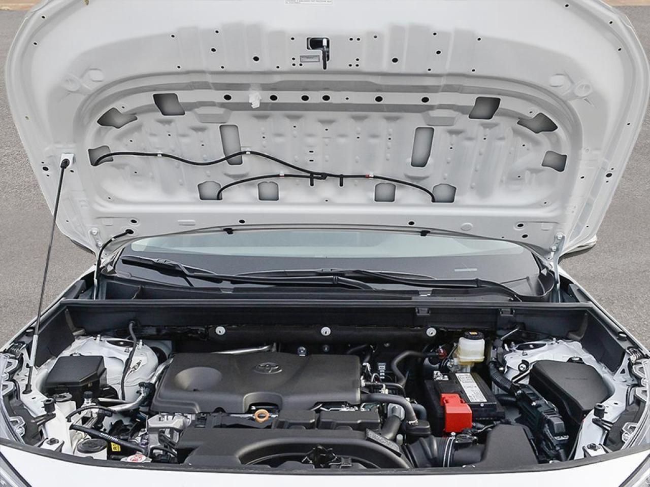 2025 Toyota RAV4 XLE 4dr All-wheel Drive Photo