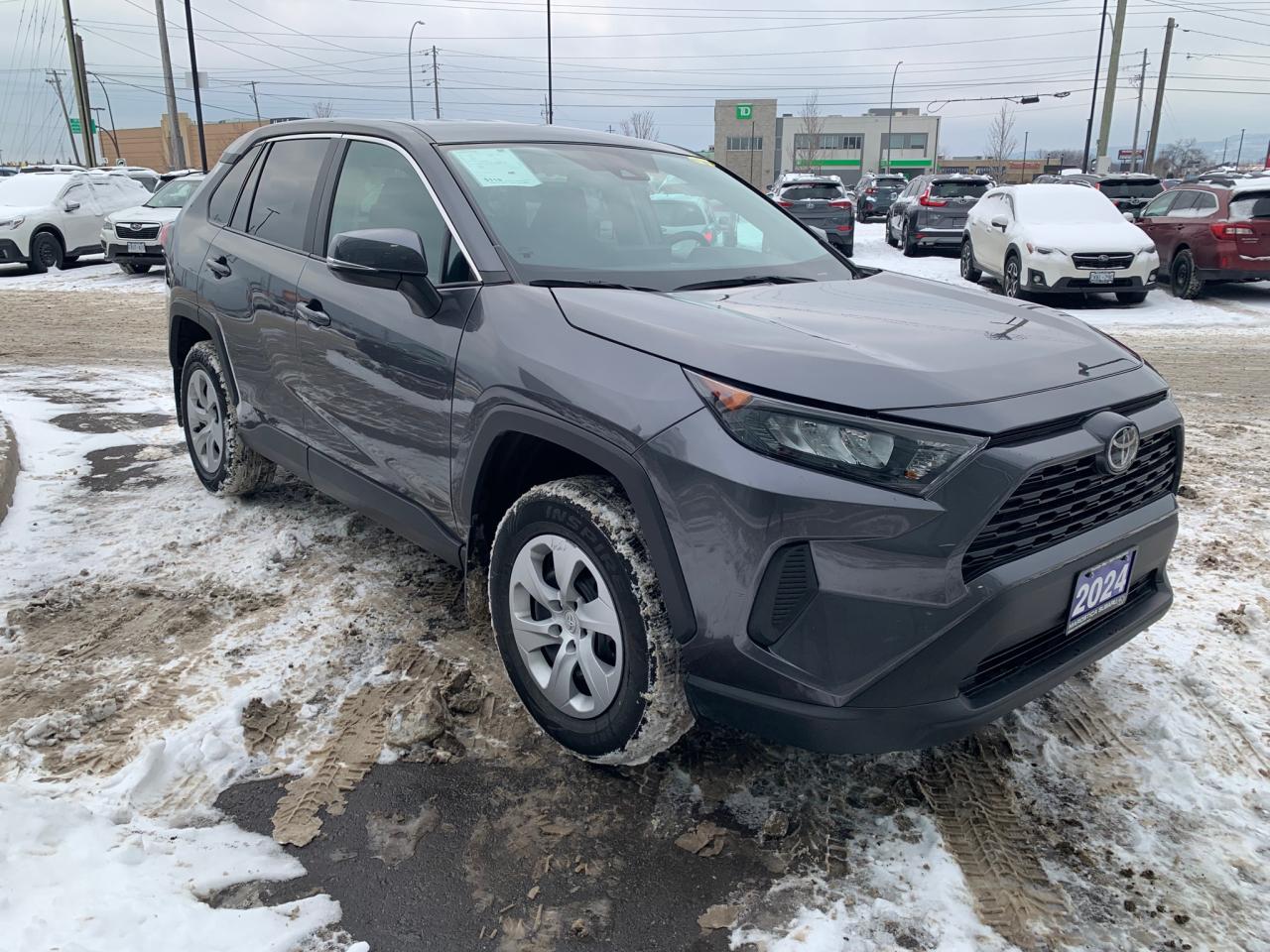 2024 Toyota RAV4 LE 4dr All-wheel Drive Photo