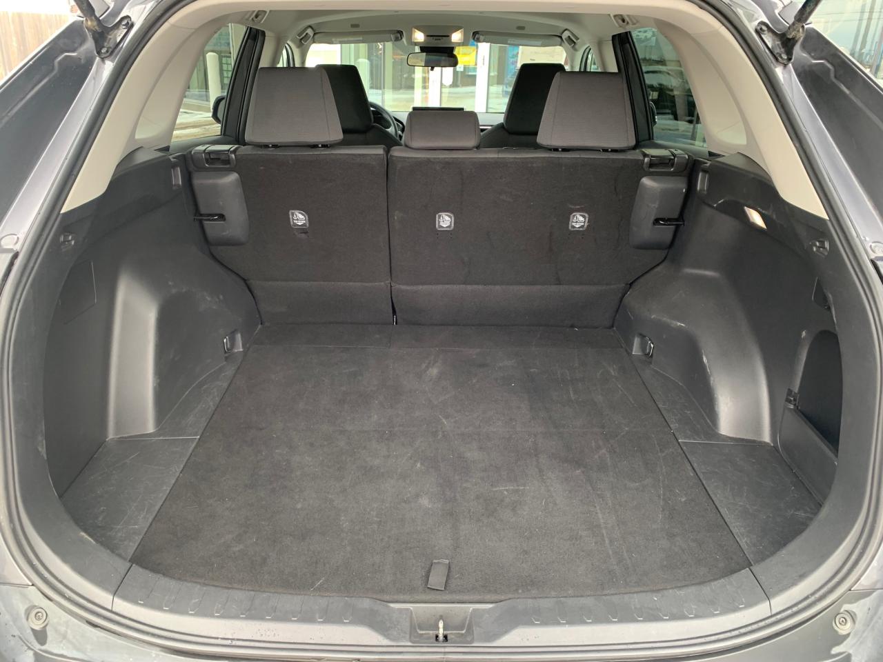 2024 Toyota RAV4 LE 4dr All-wheel Drive Photo