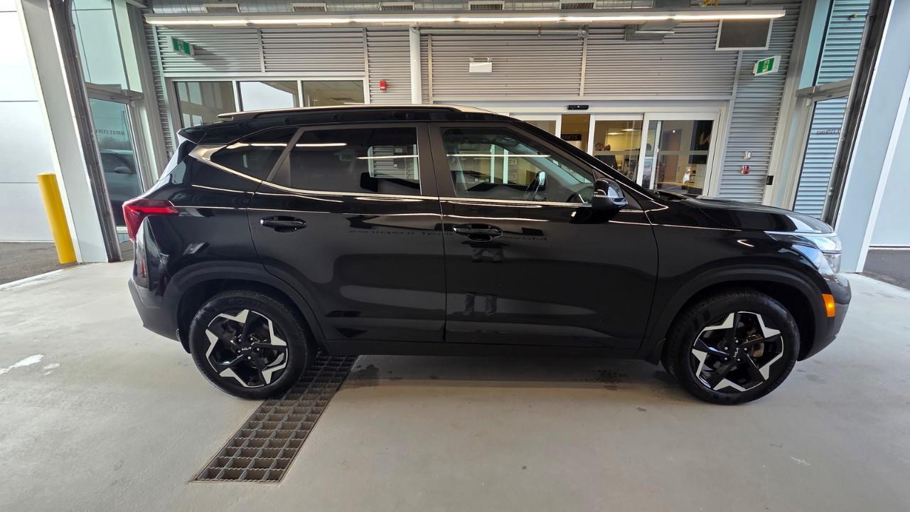 2024 Kia Seltos EX Premium 4dr All-Wheel Drive Photo