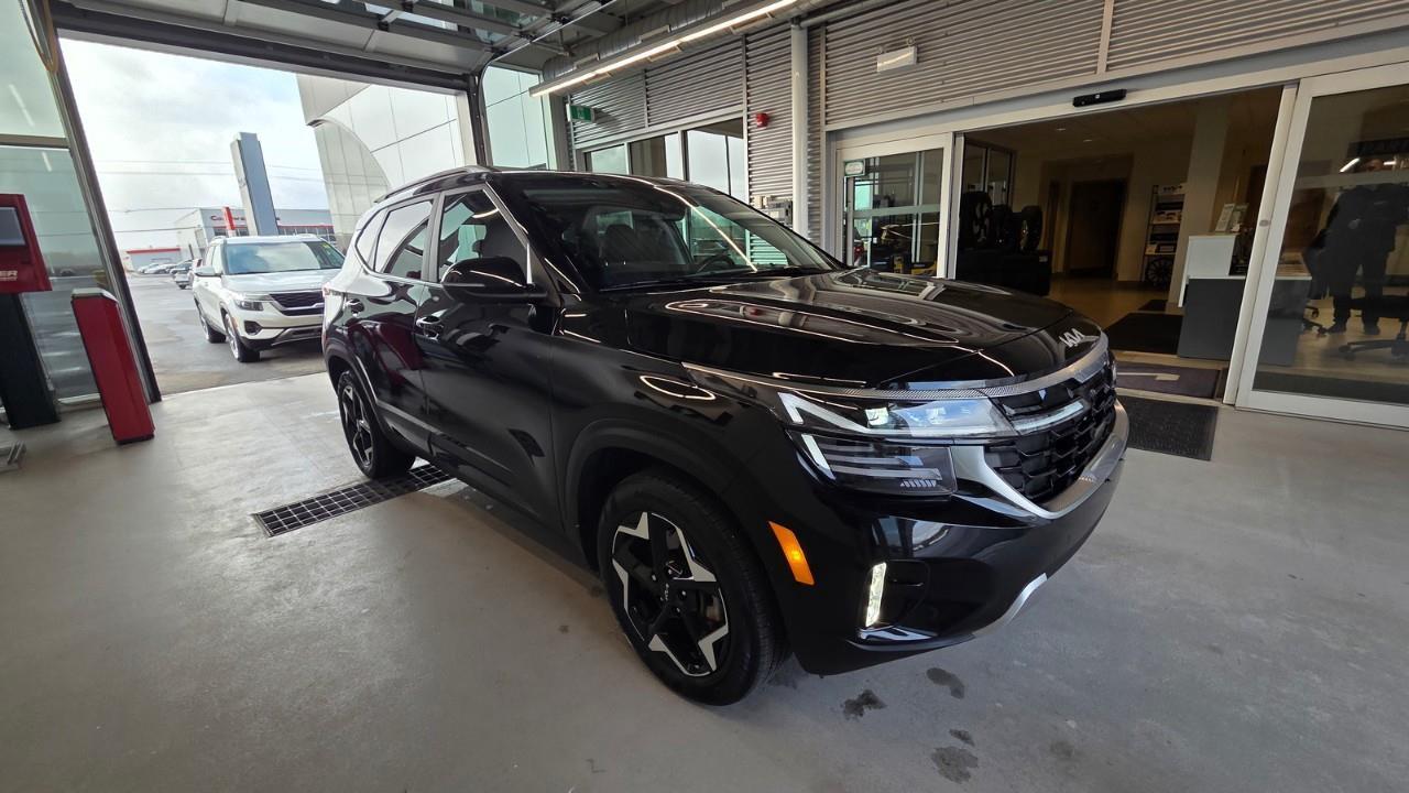2024 Kia Seltos EX Premium 4dr All-Wheel Drive Photo