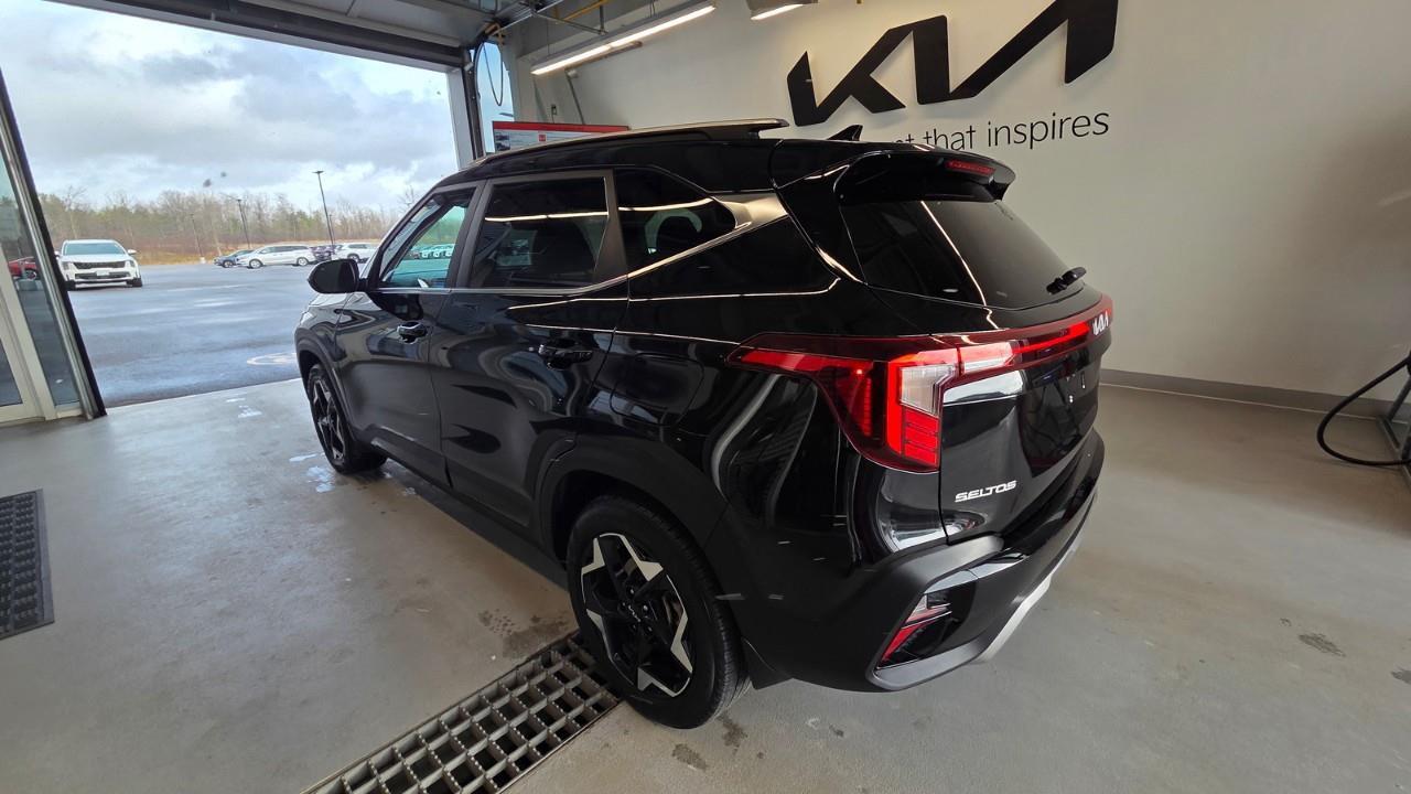2024 Kia Seltos EX Premium 4dr All-Wheel Drive Photo